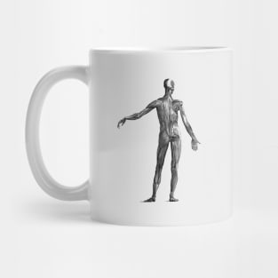 Human Muscular System - Vintage Anatomy Mug